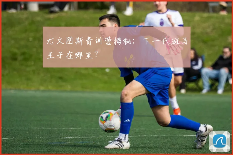 尤文图斯青训营揭秘：下一代斑马王子在哪里？