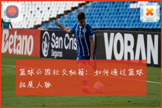篮球公园社交秘籍：如何通过篮球拓展人脉