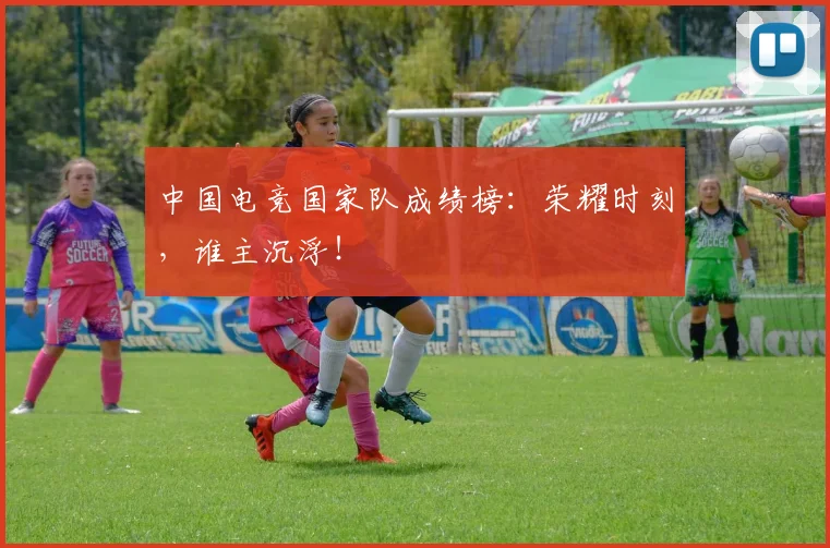 中国电竞国家队成绩榜：荣耀时刻，谁主沉浮！